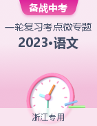 备战2023年中考语文一轮复习考点微专题（浙江专用）