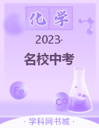 2023陕西名校中考化学模拟卷