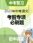 2023年中考语文考前专项必刷题（北京专用）