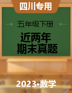 近两年（2021-2022）四川省五年级下册数学期末真题