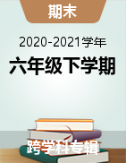 四川省巴中市平昌县六年级下学期期末试题 2020-2021学年