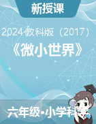 2024-2025學(xué)年六年級上冊科學(xué)第一單元《微小世界》教案教科版