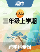 山西省晋中市灵石县三年级2020-2021学年上学期期中教学水平调研卷