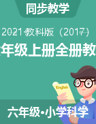 小学科学教科版（2017）六年级上册全册教案