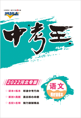 2022【鸿鹄志·中考王】语文（河北）精练本配套课件