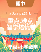 （智學(xué)培優(yōu)卷）2022-2023學(xué)年六年級下冊數(shù)學(xué)熱點重難點培優(yōu)卷（蘇教版）