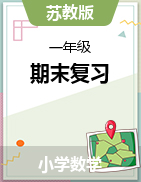 小學數(shù)學·專項訓練