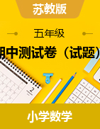 期中測(cè)試卷（試題）-2023-2024學(xué)年五年級(jí)下冊(cè)數(shù)學(xué)蘇教版