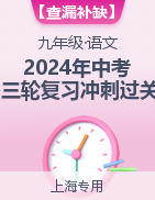 【查漏补缺】2024年中考语文复习冲刺过关（上海专用）