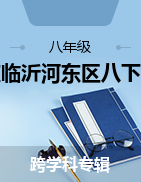 山東省臨沂市河?xùn)|區(qū)2022-2023學(xué)年八年級下學(xué)期期中考試試題