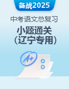 2025年中考語(yǔ)文總復(fù)習(xí)小題通關(guān)（遼寧專用）