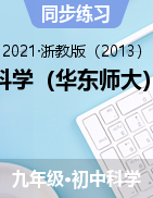 2021-2022學(xué)年華東師大版九年級(jí)上學(xué)期科學(xué)同步練習(xí)