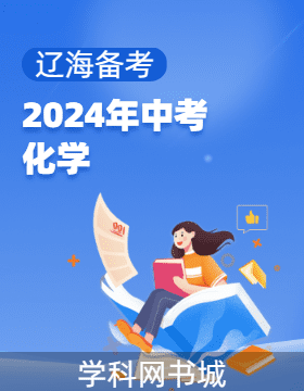 【辽海备考】2024年中考化学总复习（辽宁专用）