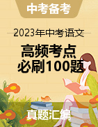 2023年中考語文高頻考點(diǎn)必刷100題精選真題匯編