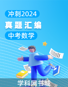 【冲刺2024】2023年中考数学真题汇编
