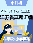 【真题汇编】小升初英语复习试卷 题型专项-江苏（2020年，含答案）