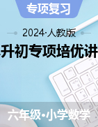 小升初專項培優(yōu)講義-2023-2024學年六年級下冊數(shù)學人教版