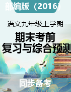 2022-2023學(xué)年九年級語文上學(xué)期期末考前專項復(fù)習(xí)與綜合預(yù)測