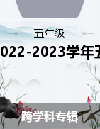 湖南省邵阳市新邵县2022-2023学年五年级下学期期中阶段学情监测试题