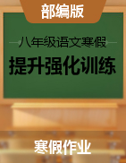 2022-2023學(xué)年八年級(jí)語(yǔ)文寒假提升強(qiáng)化訓(xùn)練