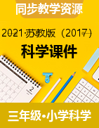 三年級下冊科學課件  全冊教學課件   蘇教版