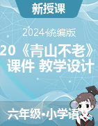 2024-2025學年六年級上冊語文20《青山不老》課件+教學設計（統(tǒng)編版） 