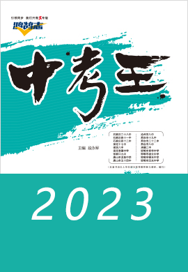 2023【鸿鹄志·中考王】电子教辅图书（含地区专版）