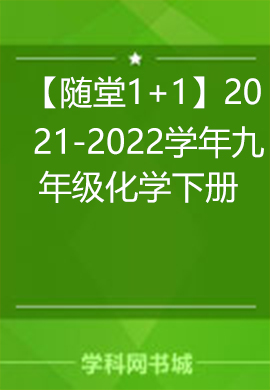 【随堂1+1】2021-2022学年九年级化学下册同步习题课件（人教版）