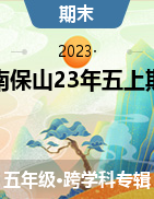 云南省保山市2022-2023学年五年级上学期期末考试试题