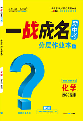 【一戰(zhàn)成名新中考】2025貴州中考化學(xué)·一輪復(fù)習(xí)·分層作業(yè)本（練冊(cè)）