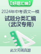 【好题汇编】2024年中考语文一模试题分类汇编（武汉专用）