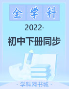 2022春《智慧万羽·名师学案》初中下册同步系列电子教辅·分层进阶学习法