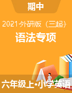 【期中语法专项】2021年外研三起 六年级上册英语期中语法检测卷（含答案） 