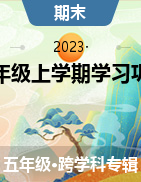 陕西省延安市富县2022-2023学年五年级上学期学习巩固练习试题