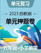 （单元押题卷）2023-2024学年六年级上册数学培优卷（苏教版）