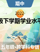 甘肃省张掖市某校2021-2022学年五年级下学期学业水平诊断试题
