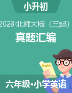 2022-2023年小升初题型专练真题汇编  北师大版（三起）
