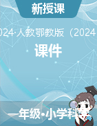 2024-2025學(xué)年科學(xué)一年級(jí)上冊(cè)課件（人教鄂教版）