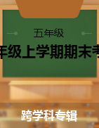 贵州省罗甸县2021-2022学年五年级上学期期末考试试题