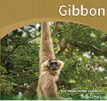 Gibbon