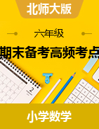 期末備考高頻考點(diǎn)(講義)-2023-2024學(xué)年六年級(jí)下冊(cè)數(shù)學(xué) 北師大版