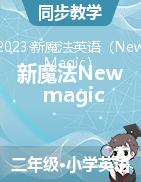 新魔法New magic 2A课件