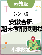 安徽省合肥市2022-2023学年3-6年级下册数学期末冲刺考前预测押题卷典型试卷（苏教版）