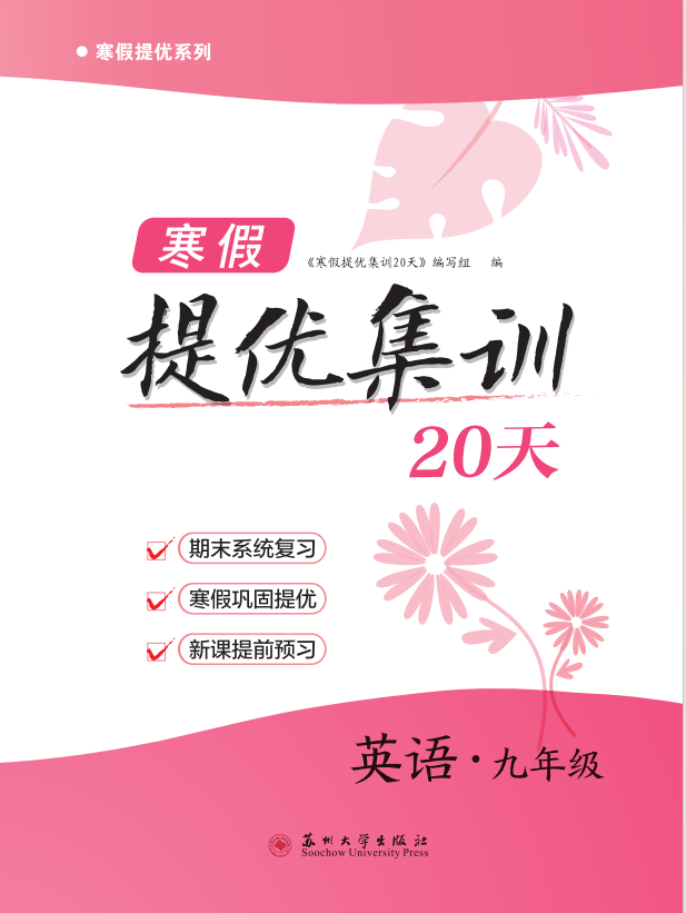 【寒假提優(yōu)集訓】2024-2025學年九年級英語20天