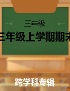 湖南省永州市道县2021-2022学年三年级上学期期末考试试题