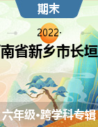2020-2021学年河南省新乡市长垣市六年级下学期期末考试试卷
