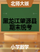 【真题】黑龙江省大庆市肇源县数学一-四年级下学期期末质量监测 2020-2021学年 