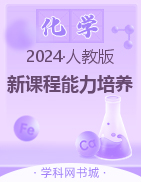 【新课程能力培养】2023-2024学年九年级下册化学同步练习（人教版）大连专用