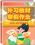 2020-2021学年初中补习教材·寒假作业