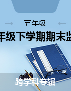 四川省廣元市2022-2023學(xué)年五年級(jí)下學(xué)期期末監(jiān)測(cè)卷